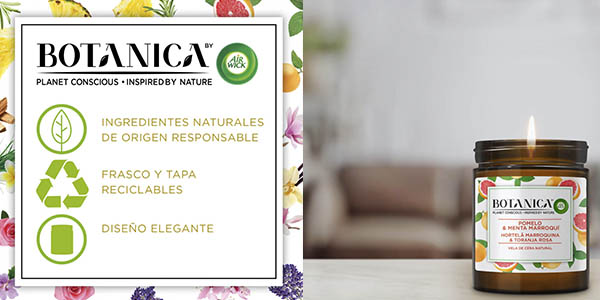 Air Wick Botanica velas aromáticas pomelo menta oferta