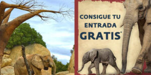 Bioparc Valencia entrada gratis