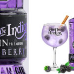 Chollo Ginebra premium de mora Puerto de Indias BlackBerry de 70 cl