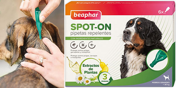 Chollo Pack x6 Pipetas repelentes Beaphar para perros grandes