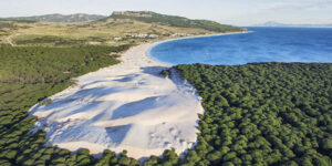 mejor playa España 2023 Bolonia Tarifa
