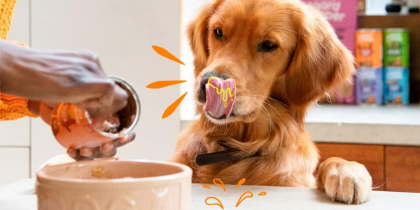 Edgar Cooper comida húmeda para perros en oferta