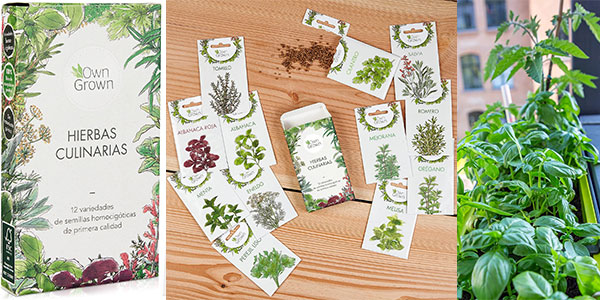 Chollo Kit de 12 semillas de hierbas aromáticas para plantar