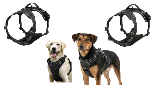 Arnés sin tirones para perro con clips para correa