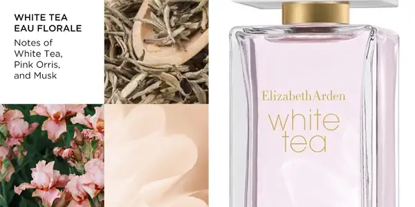 Eau Florale Elizabeth Arden White Tea 100 ml oferta