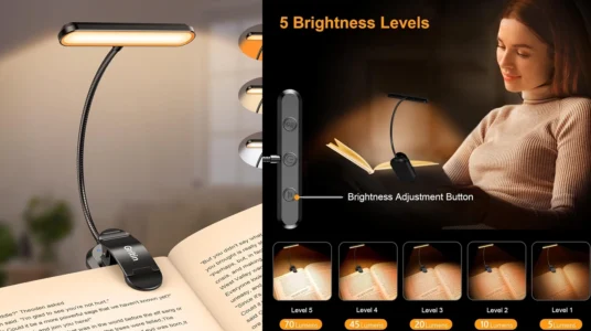 Lámpara LED Gritin para lectura con pinza