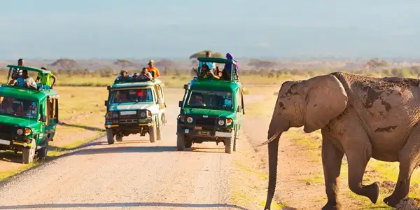 Safari Kenia Relax Exoticaa oferta