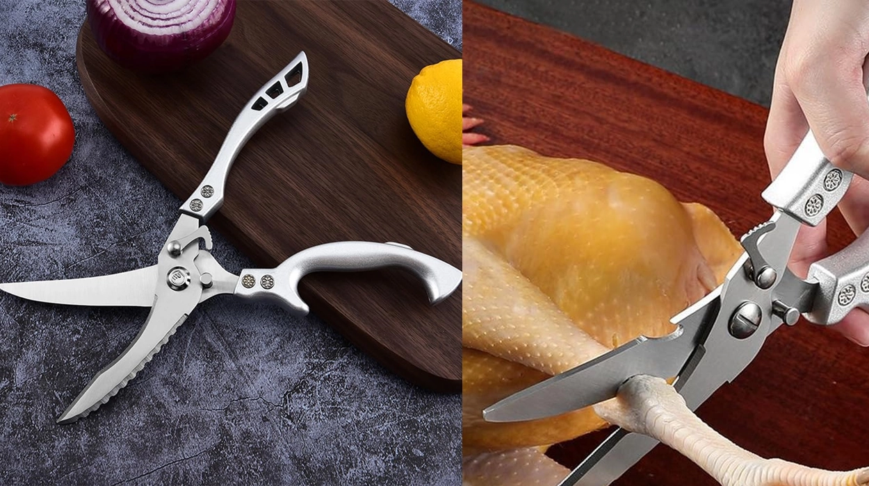 Tijeras de cocina profesionales de acero inoxidable