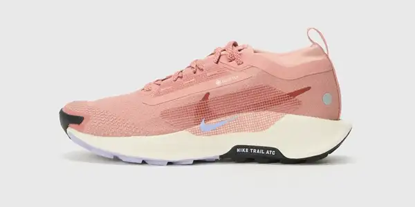 Zapatillas Nike REACTX PEGASUS 5 GTX oferta