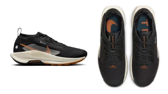 Zapatillas de trail running Nike Pegasus Trail 5 GORE-TEX mujer