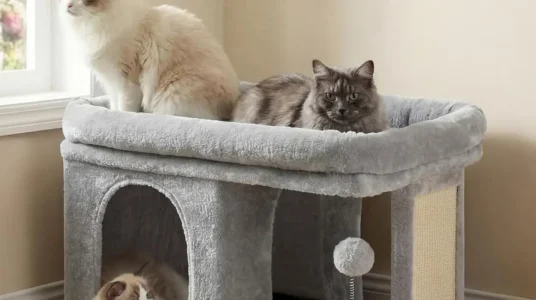 Árbol rascador para gatos Heybly con plataforma y casita en gris claro