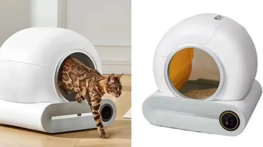 Arenero automático inteligente para gatos