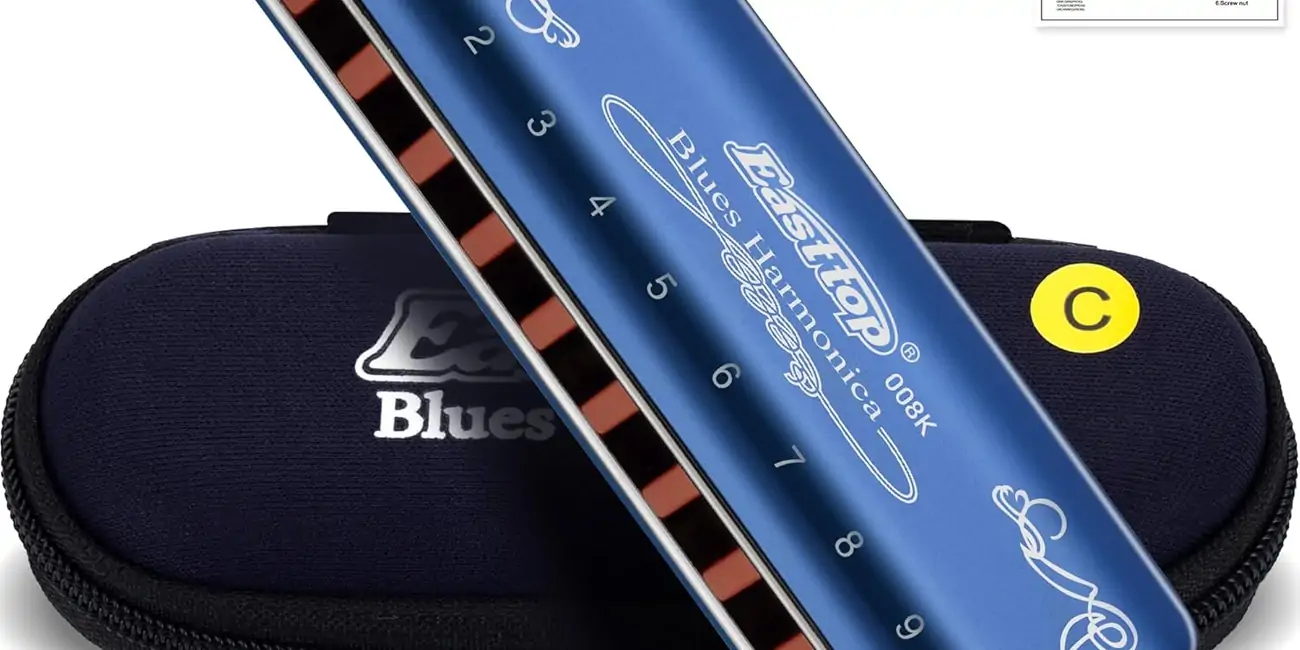 Armónica diatónica East Top para adultos en C 20 tonos con estuche