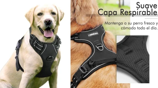 arnes-para-perro-antitirones-ajustable-rabbitgoo