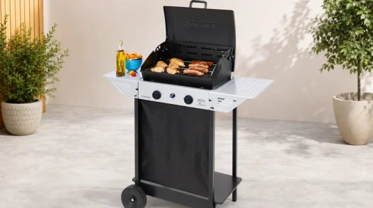 Barbacoa de gas Campingaz Xpert 100 L con 2 quemadores