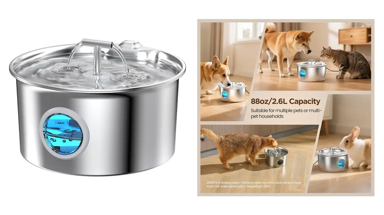 bebedero de agua automático para mascotas barato