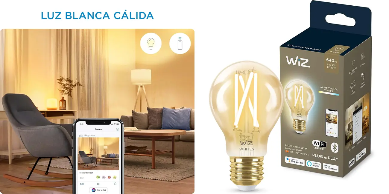 Bombilla inteligente WiZ E27 A60