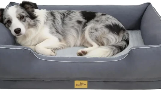Cama ortopédica extra grande para perros BingoPaw con funda lavable y superficie impermeable