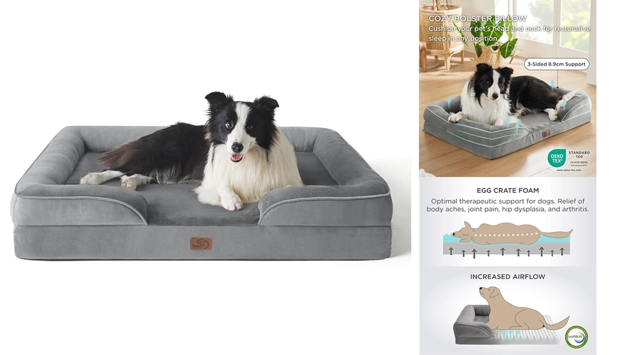 cama ortopédica grande Bedsure para perros