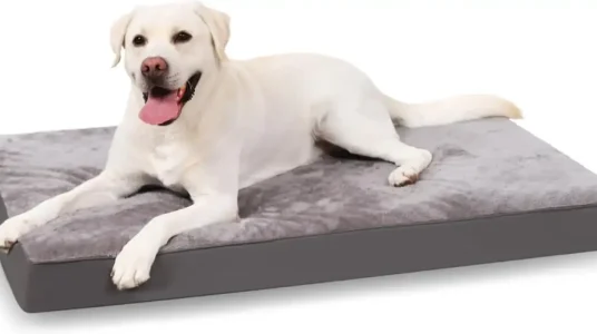 Chollo cama ortopédica grande KSIIA 90 x 55 cm para perros
