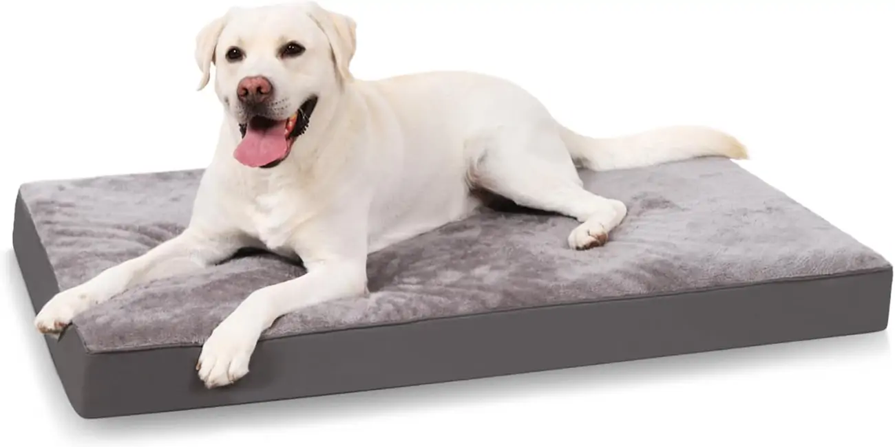 cama ortopédica grande KSIIA 90 x 55 cm para perros