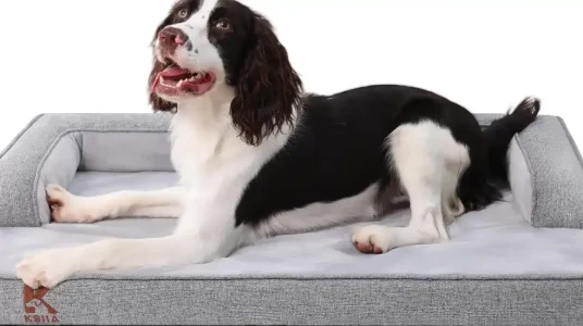 Chollo cama para perro grande ksii impermeable