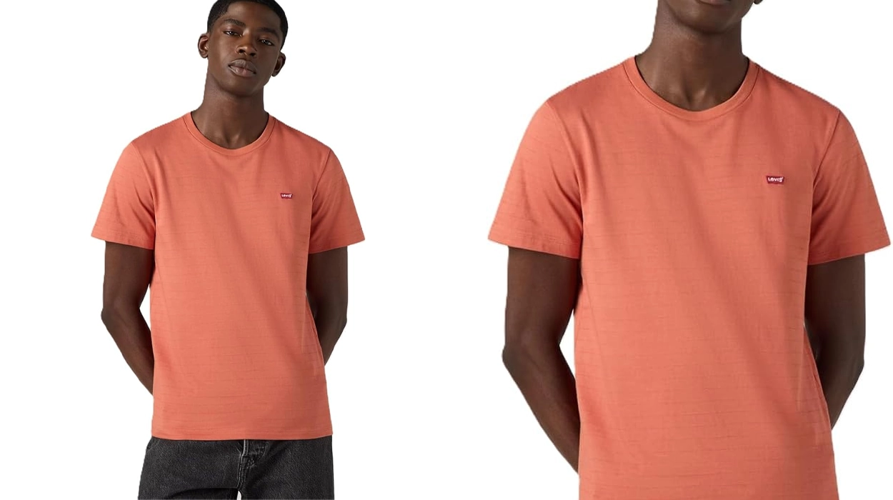 camiseta Levi's Striped Original Housemark barata