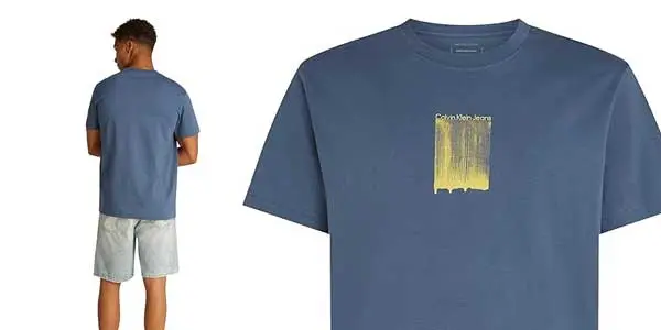 Camiseta Calvin Klein Brush Stroke oferta