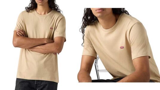Camiseta Levi's SS Original Housemark barata