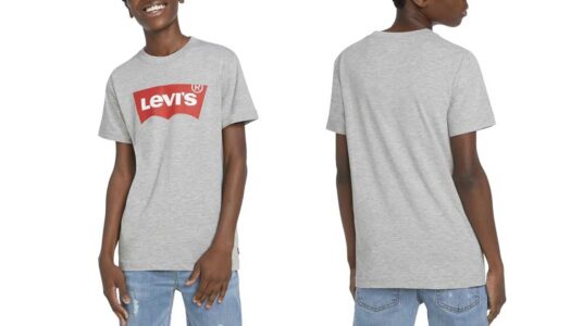 Camiseta Levi's Batwing infantil barata