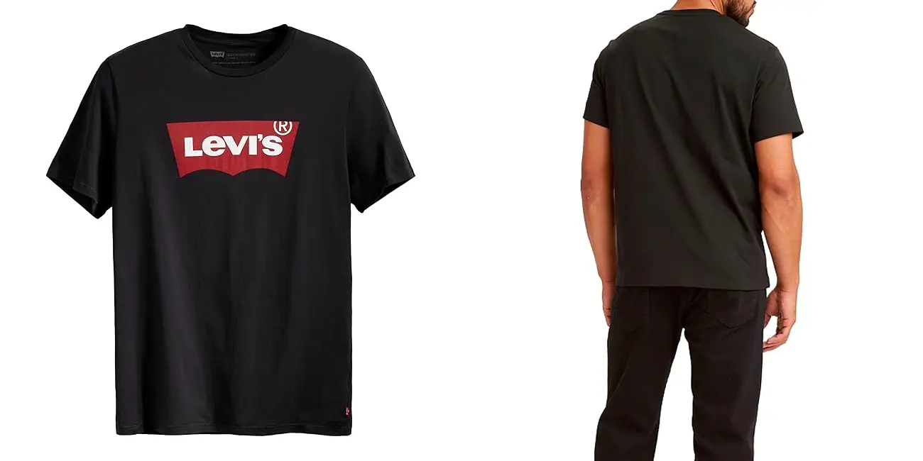 Camiseta Levi's Graphic Set-In 