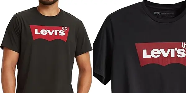 Camiseta Levi's Graphic Set-In 