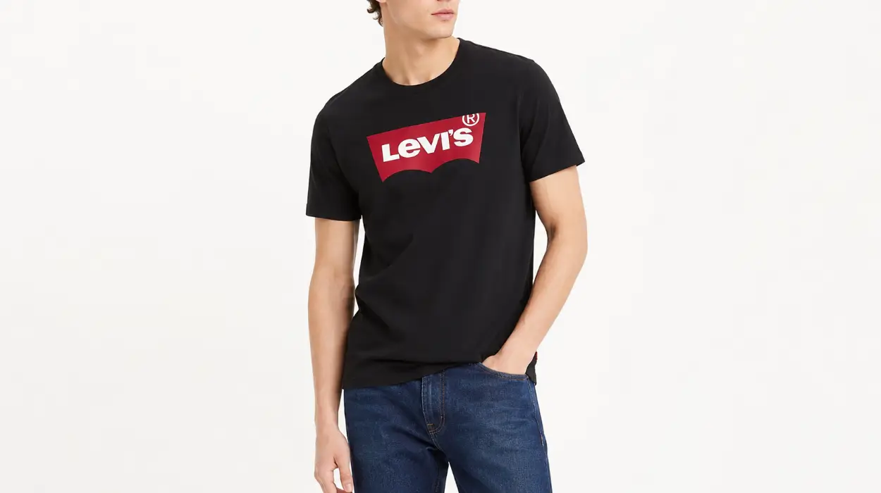 Camiseta Levi's Graphic Set-In para hombre