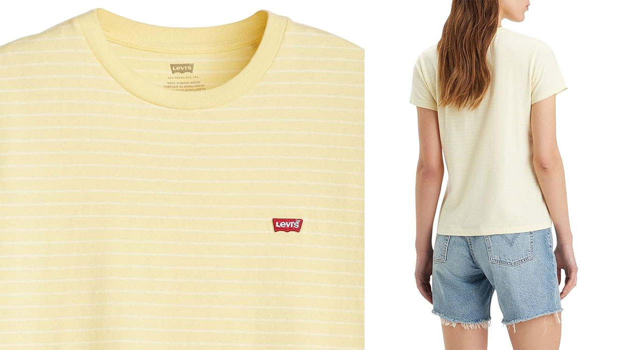 Camiseta Levi's Perfect Tessa Stripe Anise Flower para mujer barata