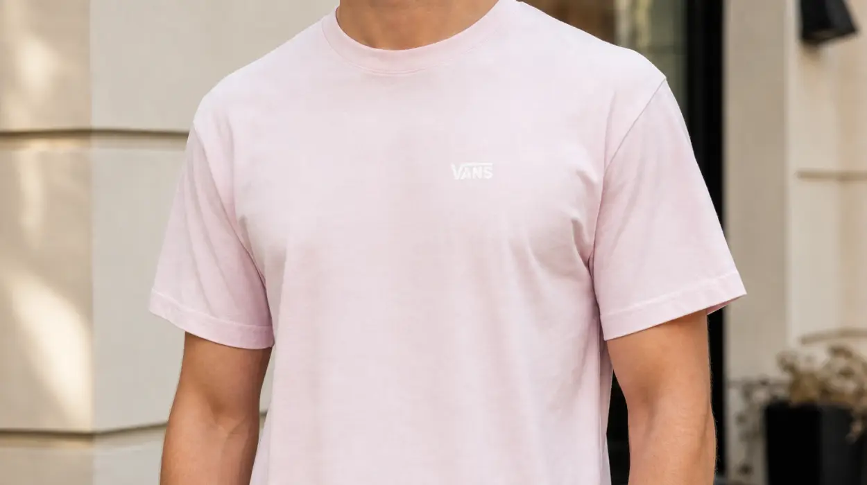Camiseta Vans SS de algodón con logo para hombre