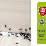 cebo antihormigas gel Protect Home chollo