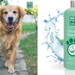 Champú para perros Menforsan Aloe Vera