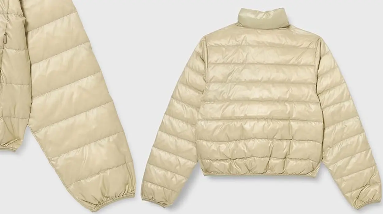Chaqueta acolchada Calvin Klein para mujer barata