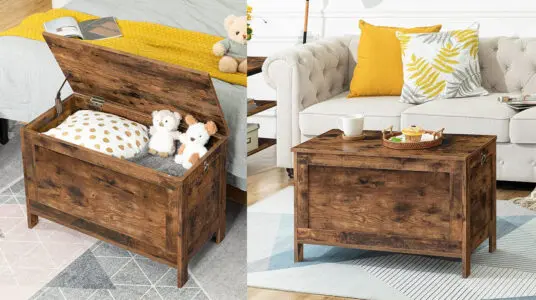 Chollo Baúl de madera Hoobro