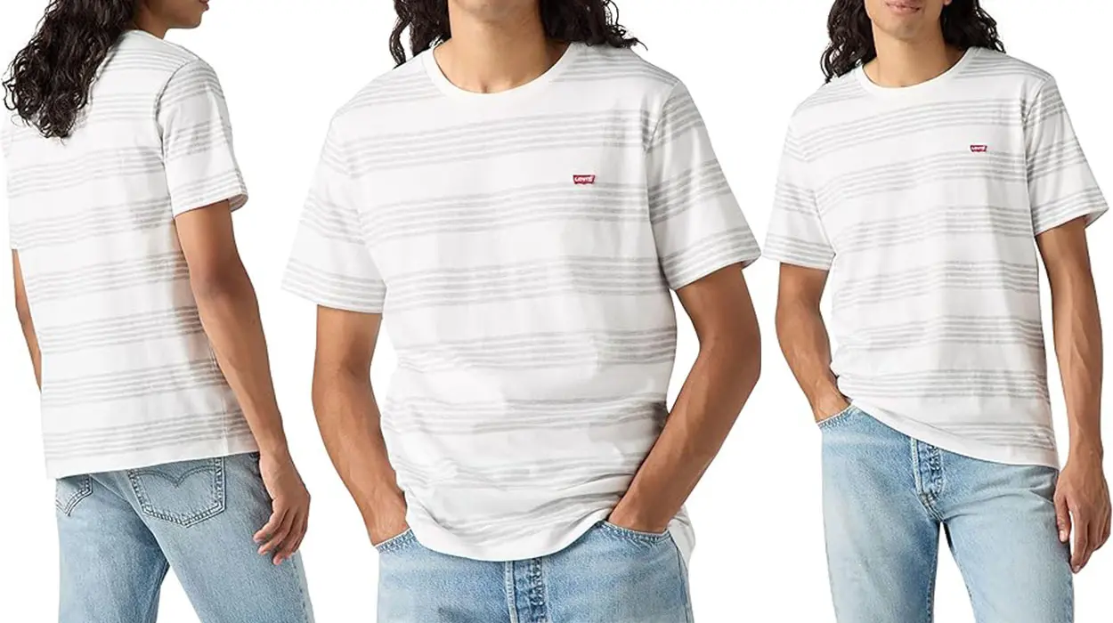Chollo Camiseta Levi's Original Housemark para hombre