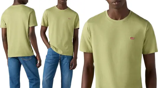 Chollo Camiseta Levi's Original Housemark para hombre