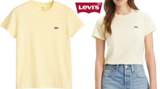 Chollo Camiseta Levi's Perfect Tessa Stripe Anise Flower para mujer