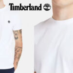 Chollo Camiseta Timberland Dunstan para hombre