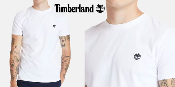 Chollo Camiseta Timberland Dunstan para hombre