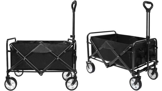 Chollo Carrito de transporte de mano plegable