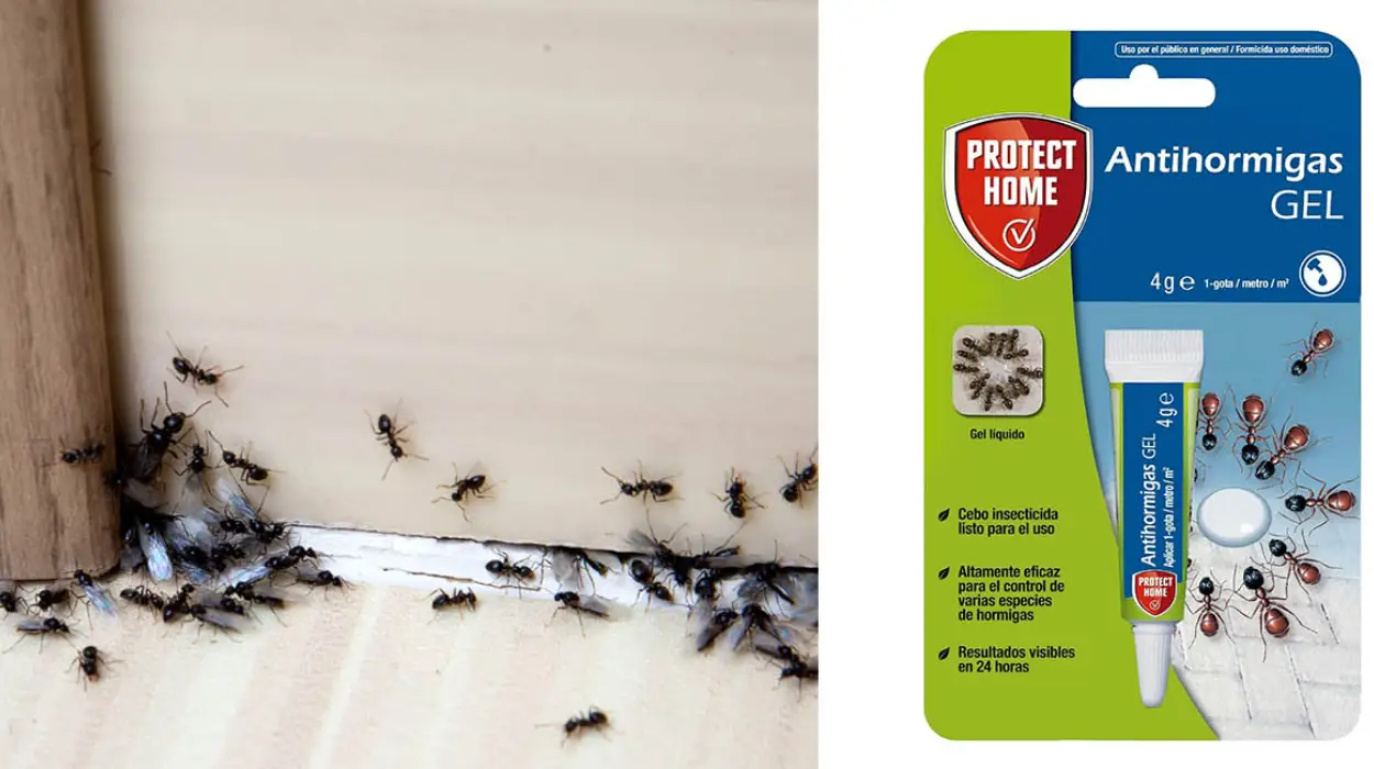 cebo antihormigas gel Protect Home chollo