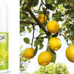 Chollo Desodorante roll-on Weleda Citrus