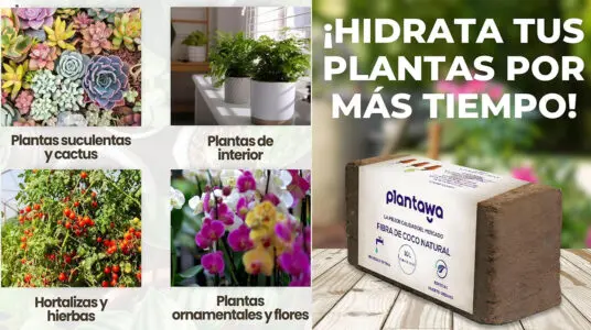 Chollo Pack de fibra de coco Plantawa para el huerto