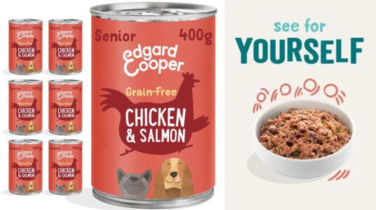 Chollo Pack de 6 latas Edgard & Cooper Senior Pollo & Salmón para perros