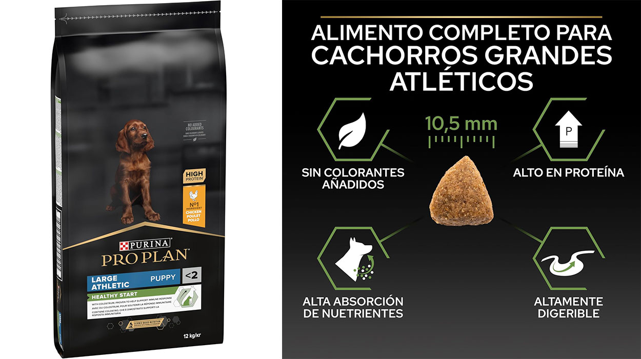 Chollo Pienso Purina Pro Plan Healthy Start con pollo de 12 kg para cachorros grandes